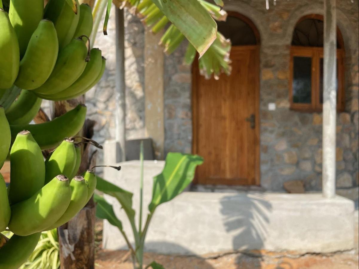 Dune Towers Kalpitiya Exterior photo